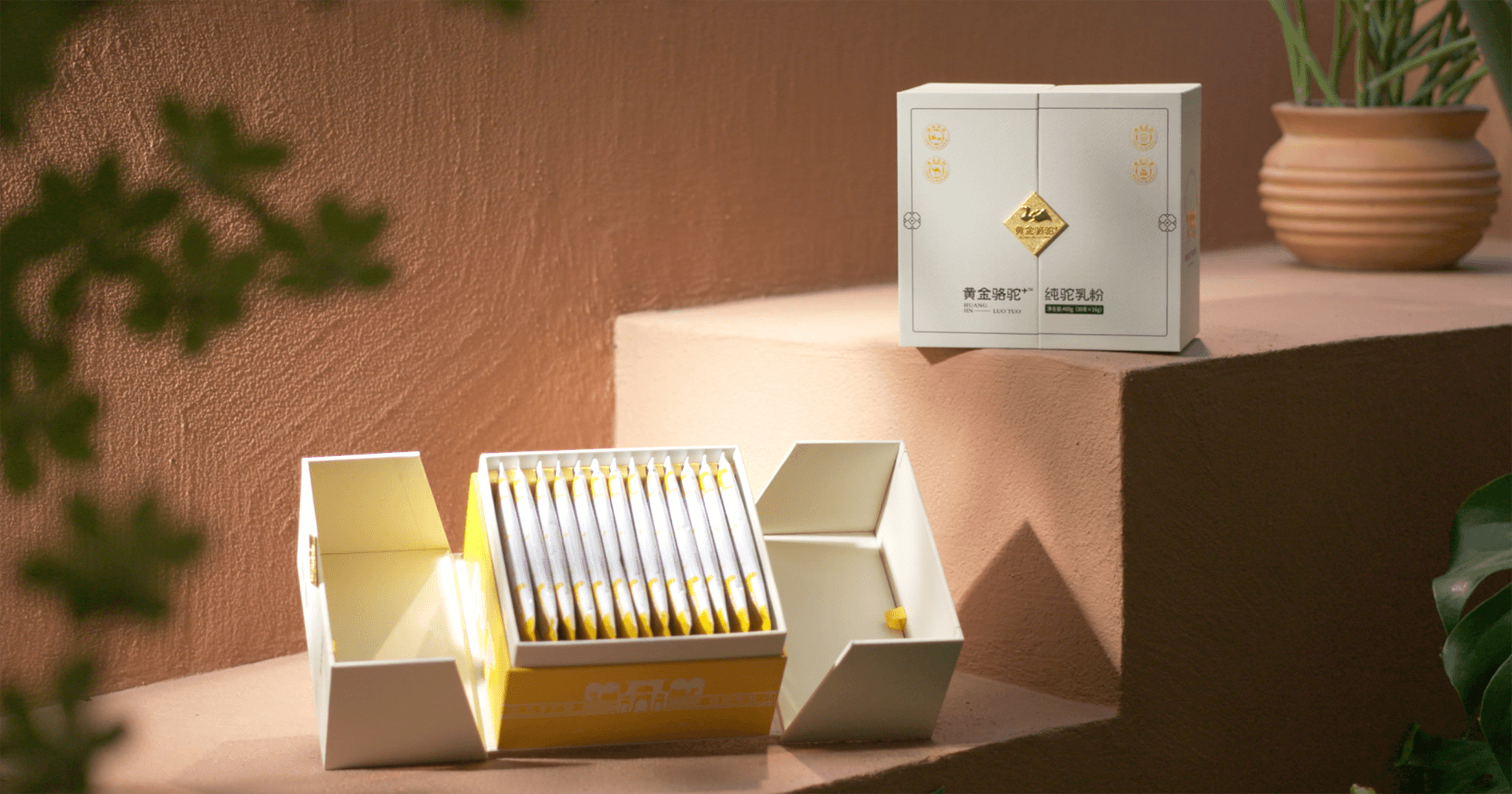 定位小众高端乳粉，太阳成集团tyc151cc推出驼奶品牌“黄金骆驼+”，角逐乳品新市场！