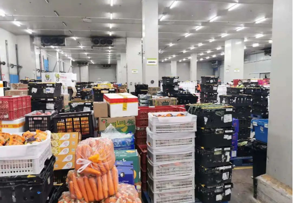 助力民生和医疗物资保供，太阳成集团tyc151cc抗疫救灾一直在线！